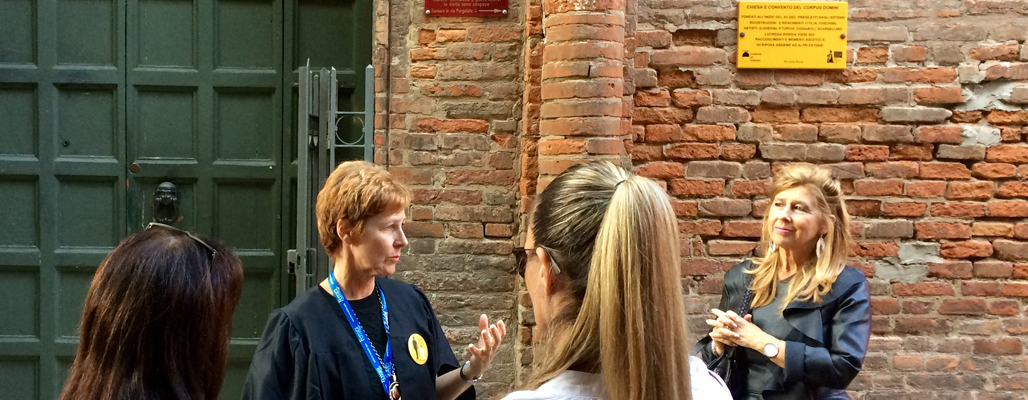 Mantova e Virgilio, visita guidata in inglese